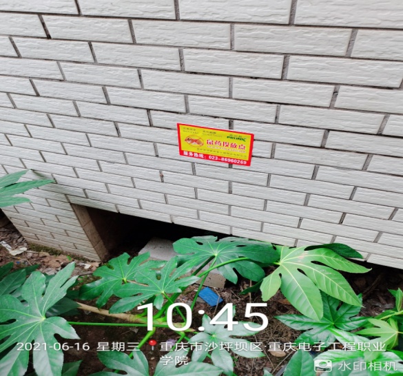 说明: C:\Users\asus\AppData\Local\Temp\WeChat Files\a03fb442d2aa7d68b62df475cd98b3f.jpg